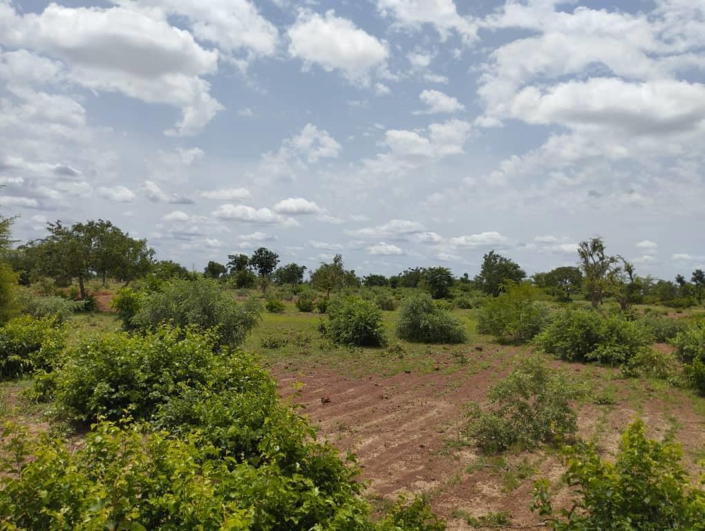 A landscape in western Burkina Faso representing the site of Qair’s new 18 MW solar project, funded by €17.2 million from FMO and the Sustainable Energy Fund for Africa (AfDB), supporting the country’s renewable energy goals.