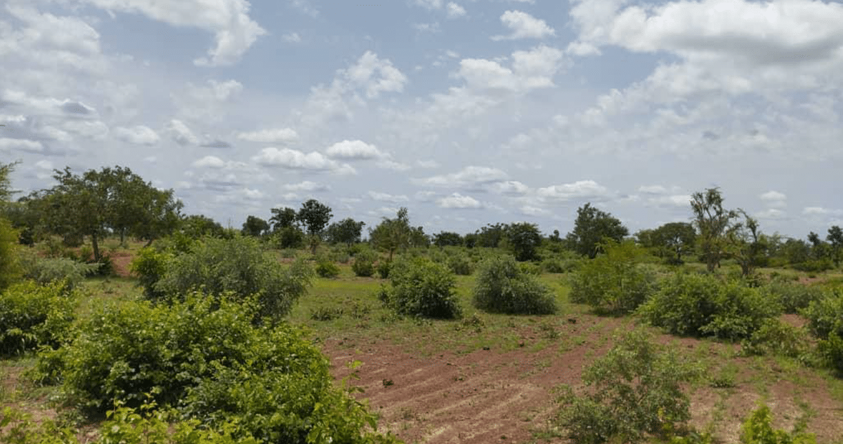 A landscape in western Burkina Faso representing the site of Qair’s new 18 MW solar project, funded by €17.2 million from FMO and the Sustainable Energy Fund for Africa (AfDB), supporting the country’s renewable energy goals.